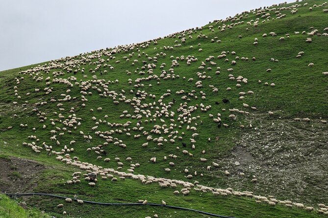 private-full-day-tour-to-kazbegi-and-gudauri-from-tbilisi-2
