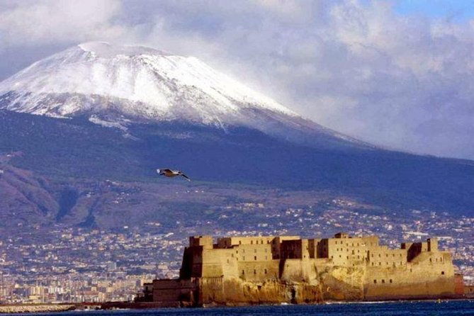 private-full-day-tour-to-pompeii-and-mt-vesuvius-with-winery-visit-3