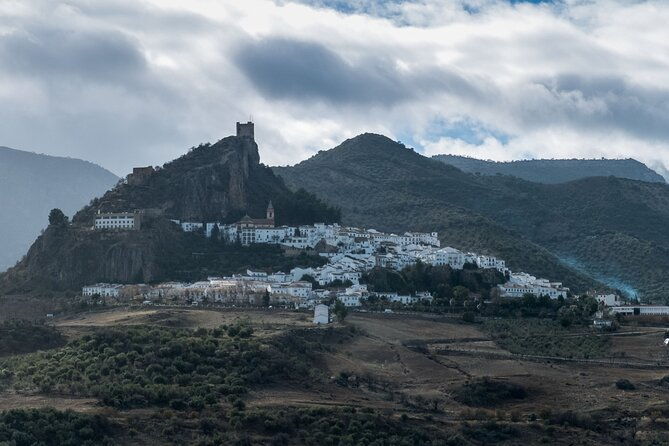 private-guided-day-trip-to-the-white-villages-and-ronda-2