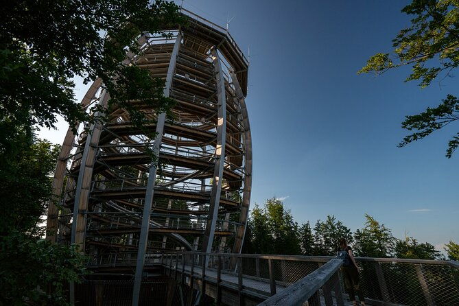 private-guided-tour-from-vienna-to-hallstatt-with-cable-car-treetop-in-gmunden