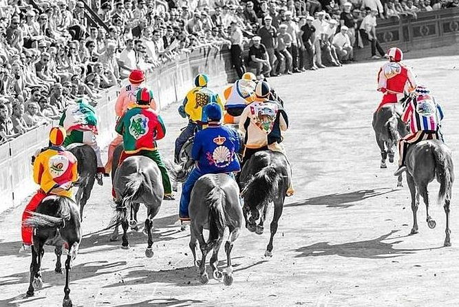 private-guided-tour-siena-san-gimignano-and-chianti-day-trip-from-florence