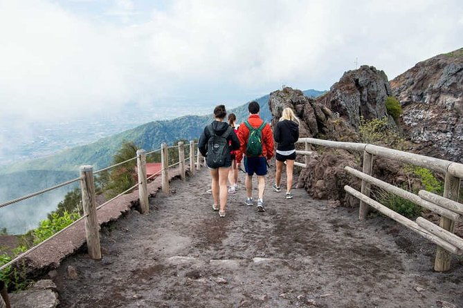 private-half-day-sightseeing-tour-of-vesuvius-national-park