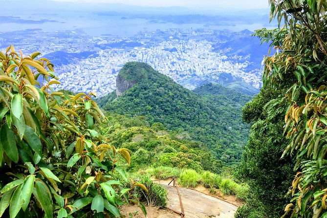 private-hiking-tour-to-tijuca-peak-tijuca-national-park-by-oir-aventura