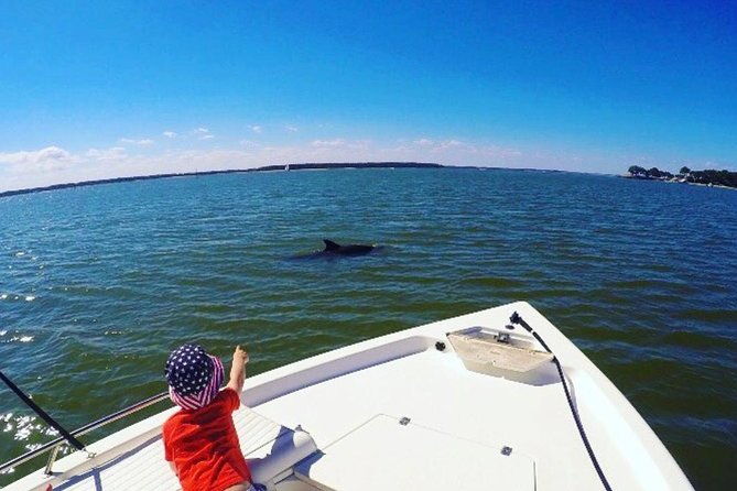 Private Hilton Head Dolphin Tour With Waterfront Dining Stop