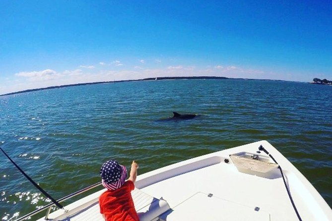 Private Hilton Head Dolphin Tour