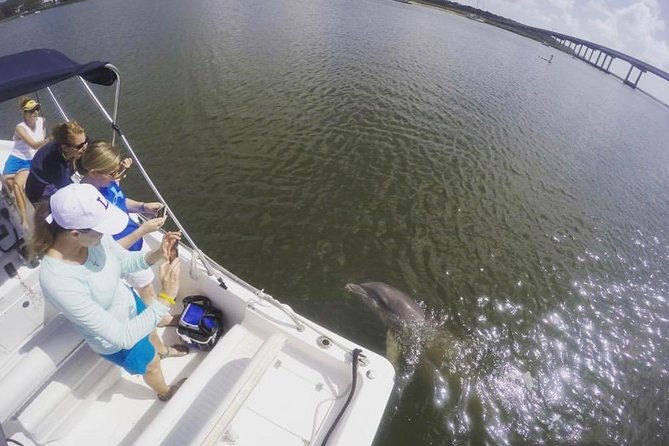 Private Hilton Head Sunset Dolphin Tour