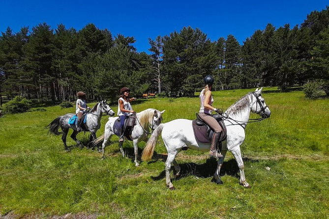 private-horse-ride-in-madrid-natural-park-reserve