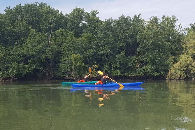 private-kayak-tour-in-the-venetian-lagoon-2