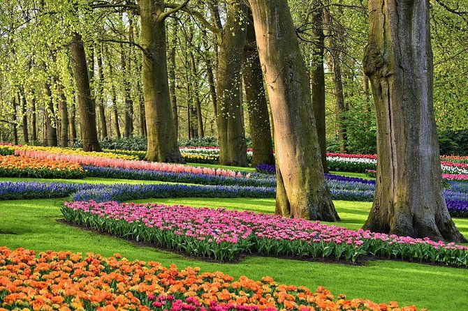 private-keukenhof-gardens-and-tulip-fields-tour-from-amsterdam-2