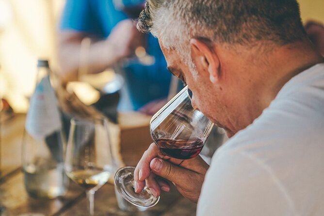 private-langhe-and-barolo-wine-tour-from-milan