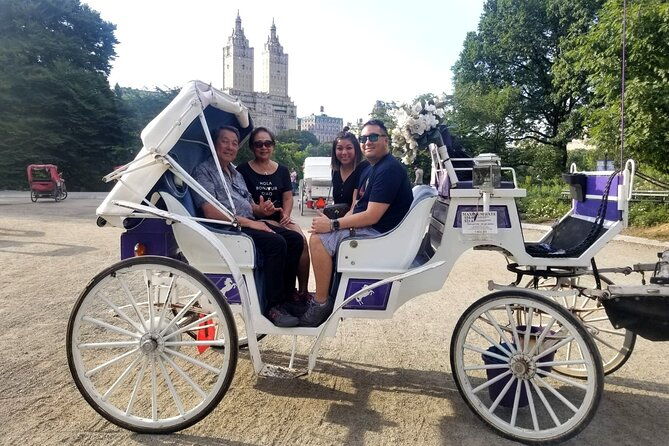 private-nyc-central-park-horse-carriage-ride-guided-since-1965-2