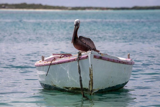 private-photography-tour