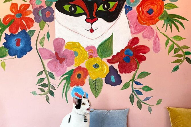 private-reykjavik-cat-walking-tour-2