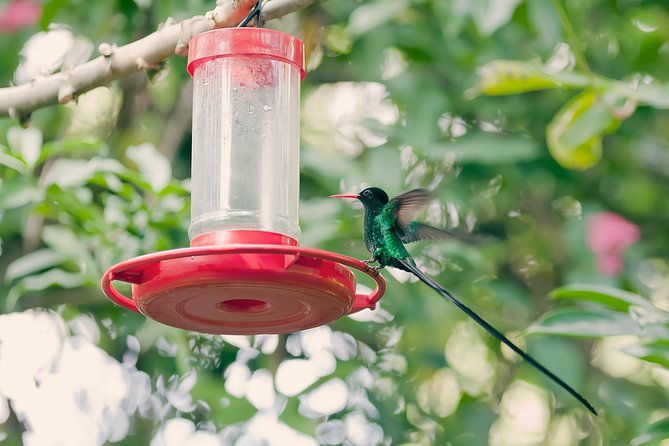 private-round-trip-shuttle-transport-to-rockland-bird-sanctuary