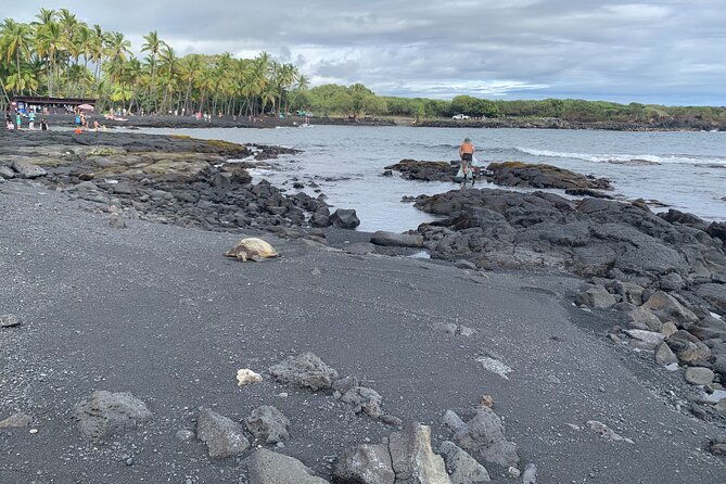 PRIVATE Shore Excursion - Best of Hilo and Hamakua Coast