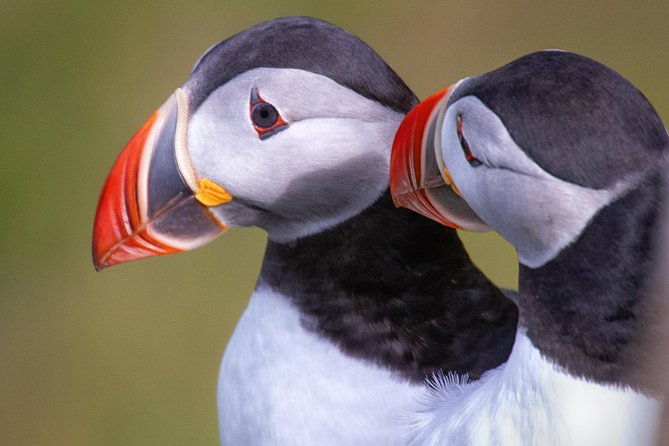 private-south-coast-tour-with-a-professional-photographer-guide