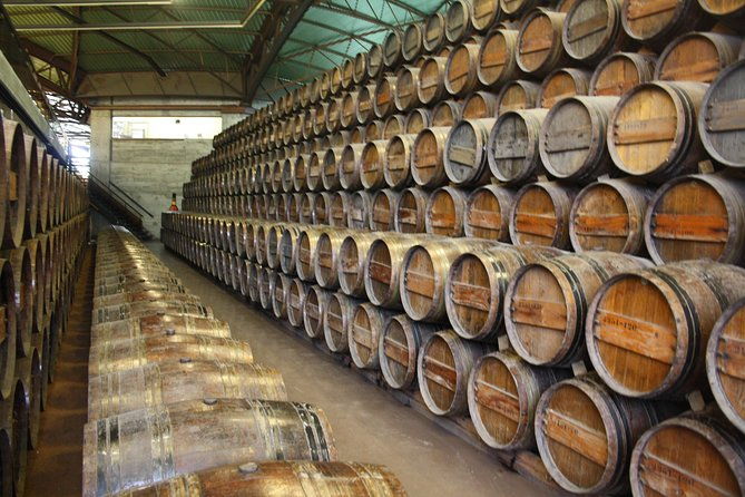 private-special-tour-around-lisbon-and-wine-tasting