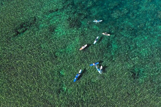 private-surf-lesson-for-3-5-people-in-north-shore-oahu