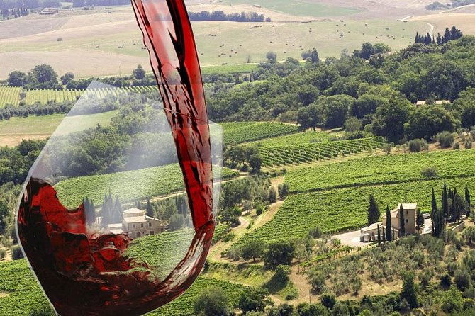 private-tour-brunello-di-montalcino-and-nobile-di-montepulciano-wine-experience-in-tuscany-2