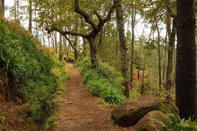 private-tour-combo-expedition-jeep-tour-levada-walk