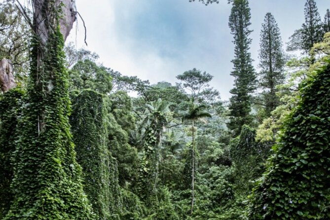 PRIVATE TOUR-Hike Diamond Head & Hawaiian Waterfall