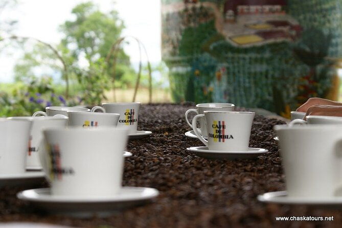 private-tour-in-an-authentic-ecological-local-coffee-finca
