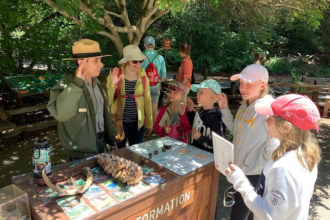 private-tour-muir-woods-and-sausalito