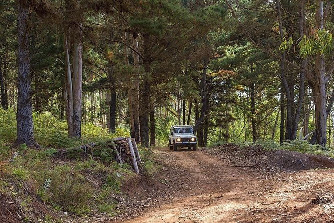 private-tour-nuns-valley-sea-cliff-half-day-jeep-tour