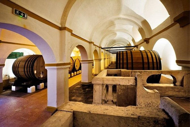 private-tour-to-evora-with-optional-wine-tasting-in-the-cartucha