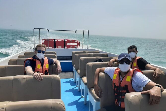 private-tour-to-spot-sea-lions-in-palomino-islands-from-lima