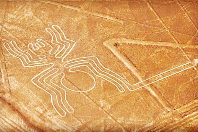 private-tour-to-the-astonished-nazca-lines-and-huacachina-oasis