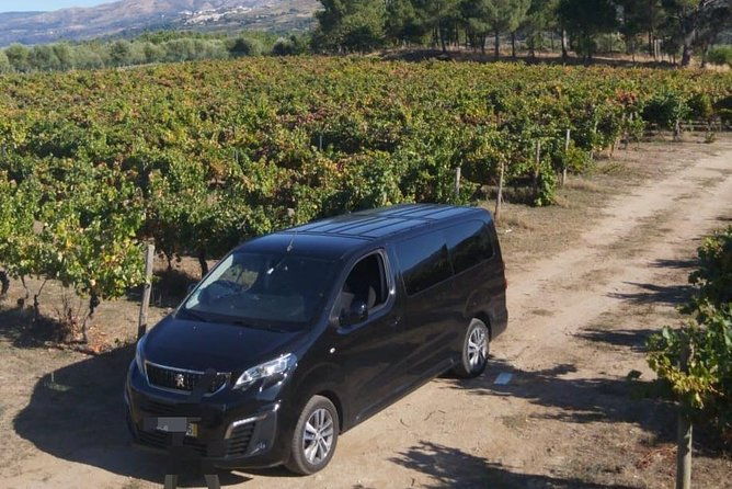 private-transfer-by-minivan-lisbon