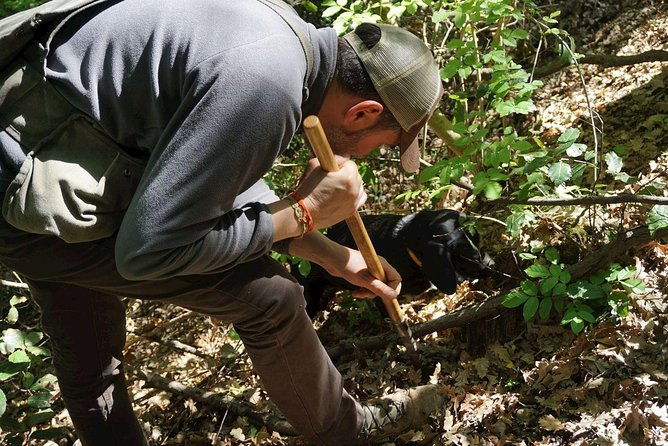 private-truffle-hunting-in-chianti-from-florence
