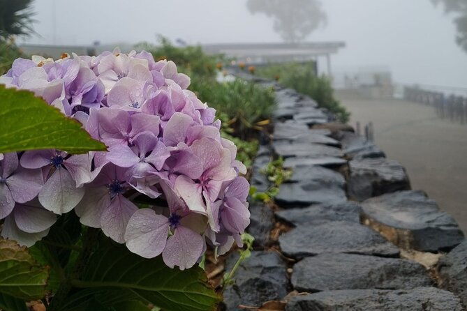 private-tuk-tuk-tour-in-nuns-valley