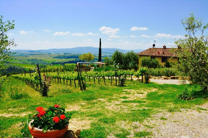 private-tuscany-day-tour-siena-and-chianti-wine-region-from-florence