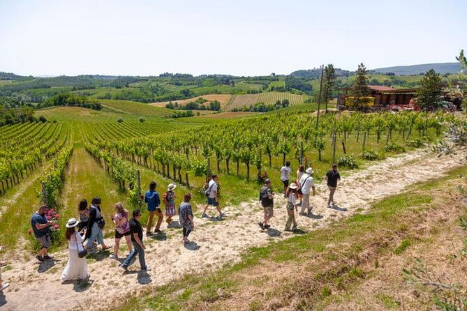 private-tuscany-tour-to-siena-and-san-gimignano-with-winery-lunch-2