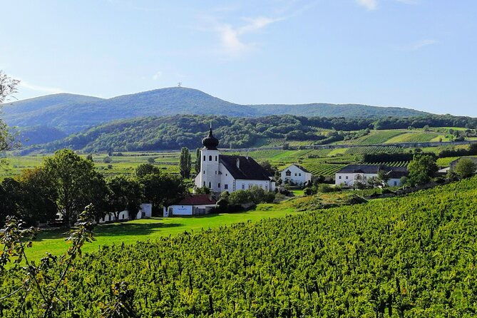 private-vienna-woods-wine-tour