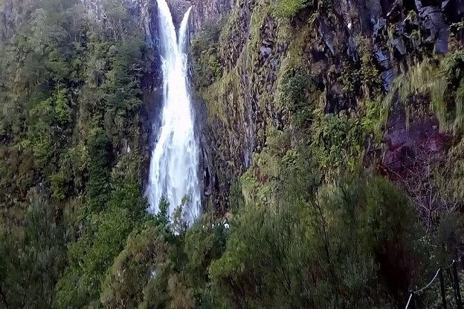 private-viptours-up-to-4pax-8pax-19pax-2