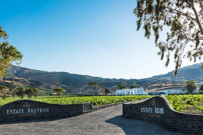 private-wine-adventure-tour-in-the-most-distinct-wineries