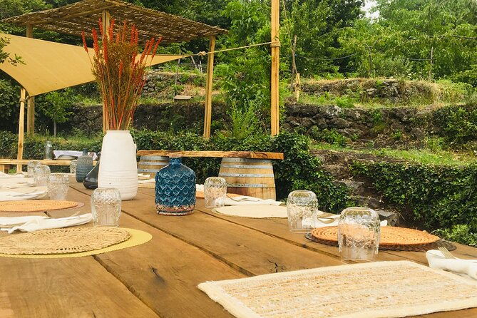 private-wine-and-food-tasting-immersed-in-nature-in-milo-2