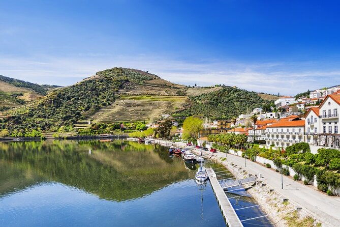 private-wine-food-tour-in-douro