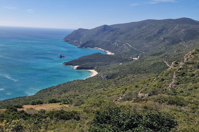 private-wine-tasting-tour-at-2-wines-setubal-sesimbra