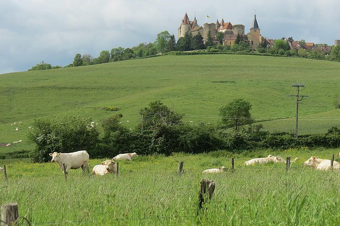 private-wine-tour-to-burgundy-region-from-paris