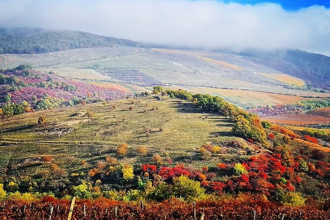 private-winetasting-and-sightseeing-tour-to-eger-home-to-bulls-blood-wine