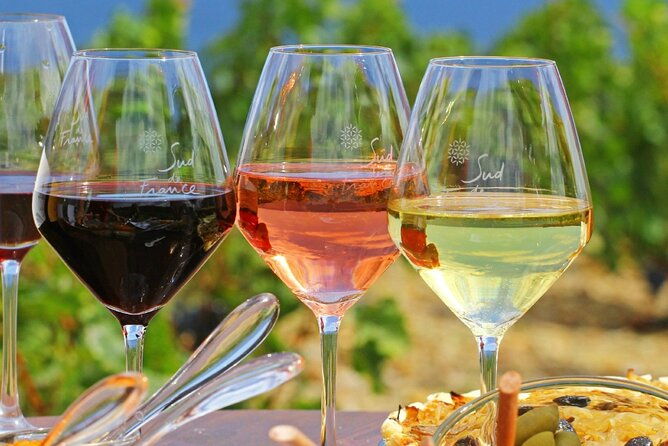 provence-organic-wine-tasting-half-day-tour-from-nice