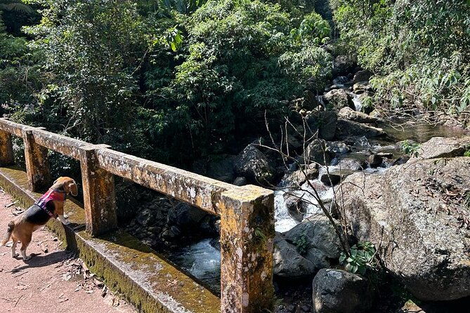 puddles-and-waterfalls