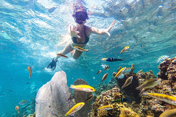 punta-cana-private-cruise-up-to-10-snorkeling-seafood-lunch