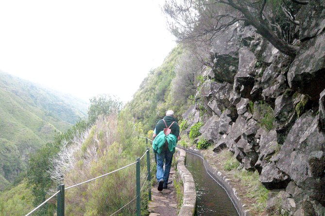 rabacal-risco-25-springs-levada-walk