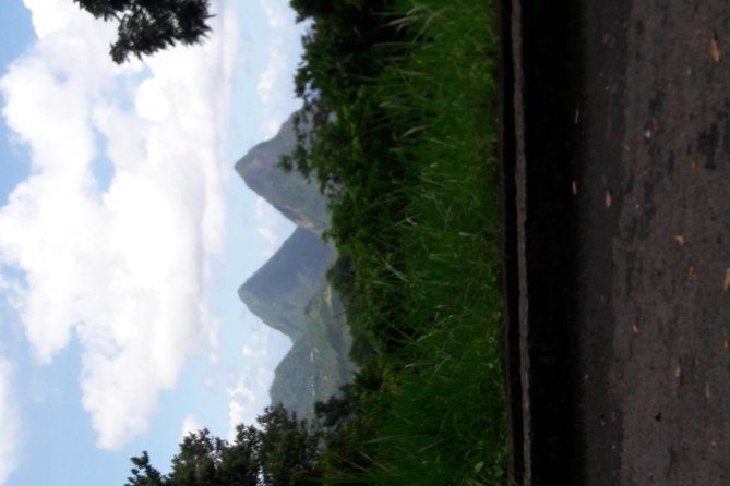 rain-forest-and-bird-watching