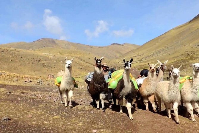 rainbow-mountain-and-red-valley-private-service